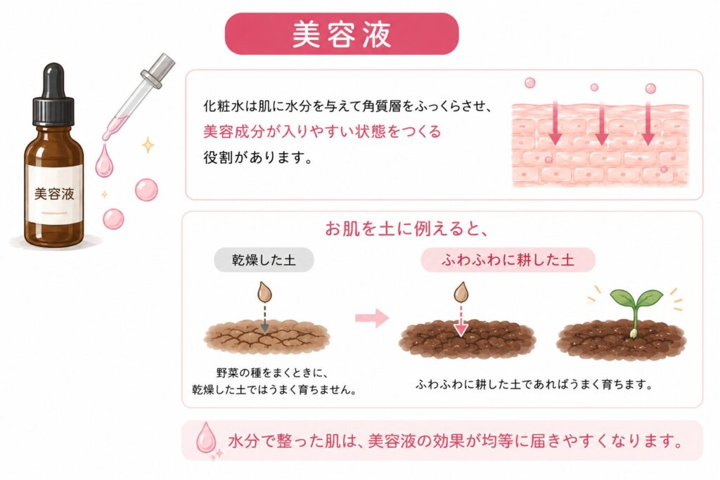美容液の詳細